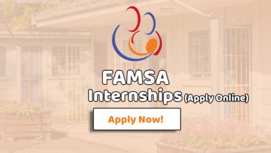 Famsa Internships